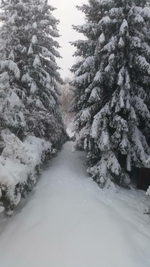 Chata Linia Kokava nad Rimavicou Extérieur photo